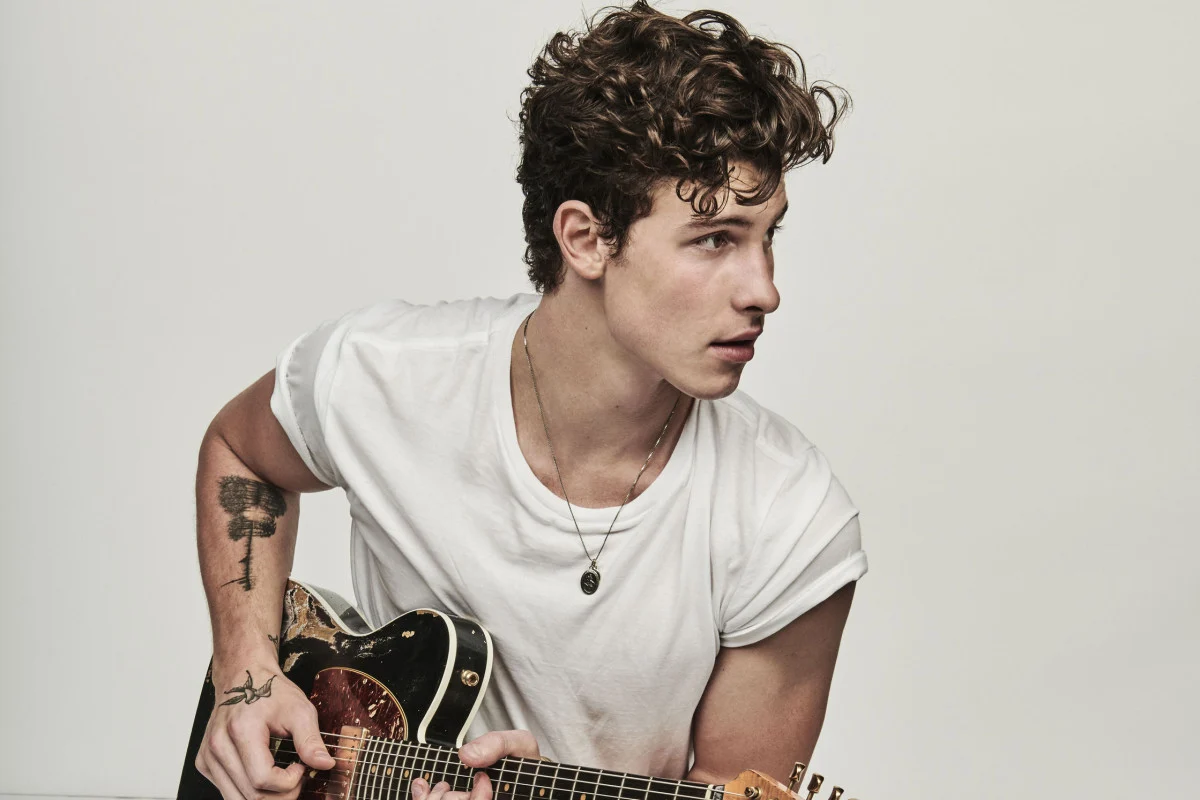 Shawn Mendes (Talking)