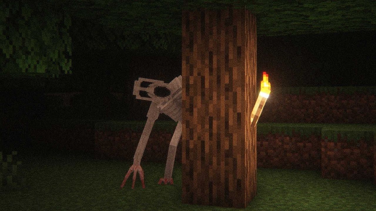The one who watches