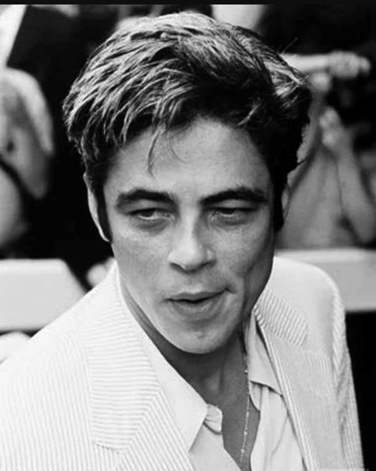 Benicio del Toro