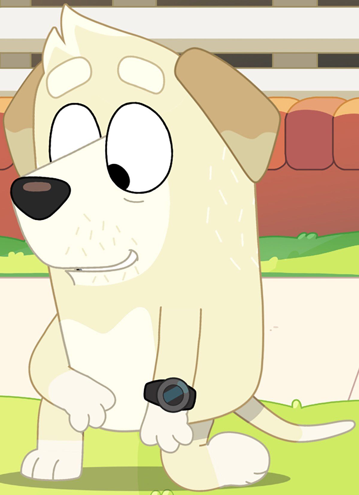 Surfer(Show and Tell)(Bluey)
