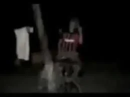 Oye loco que es eso que anda atrás del palo 