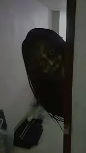 Sido rondo