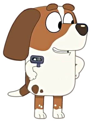 Rocko (Bluey)