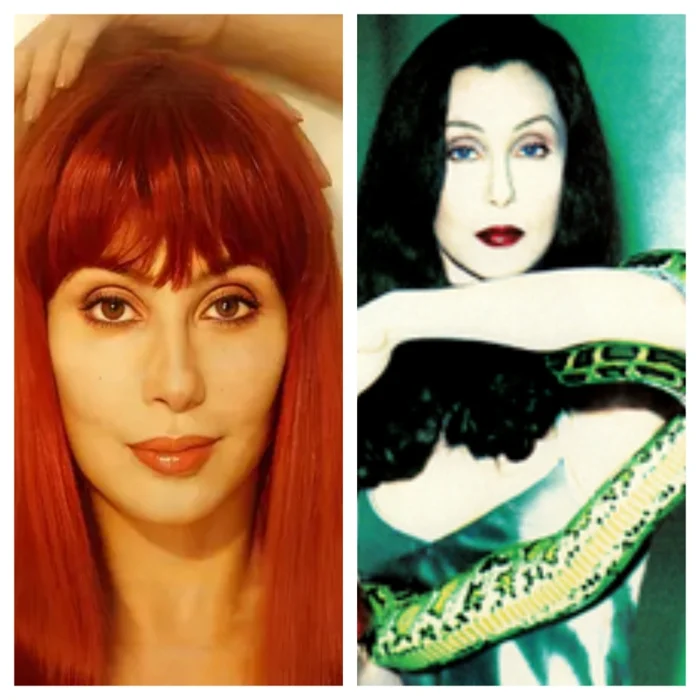 Cher (Love Hurts + It's A Man's World Eras)