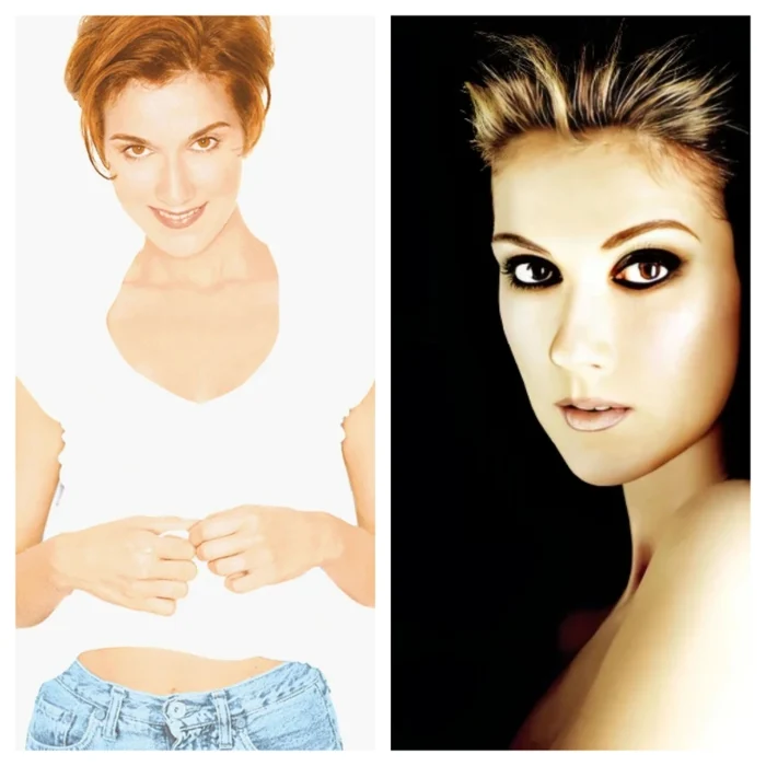Celine Dion (Falling Into You + Let's Talk About Love Eras)