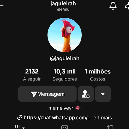 Jaguleirah 2023-2024