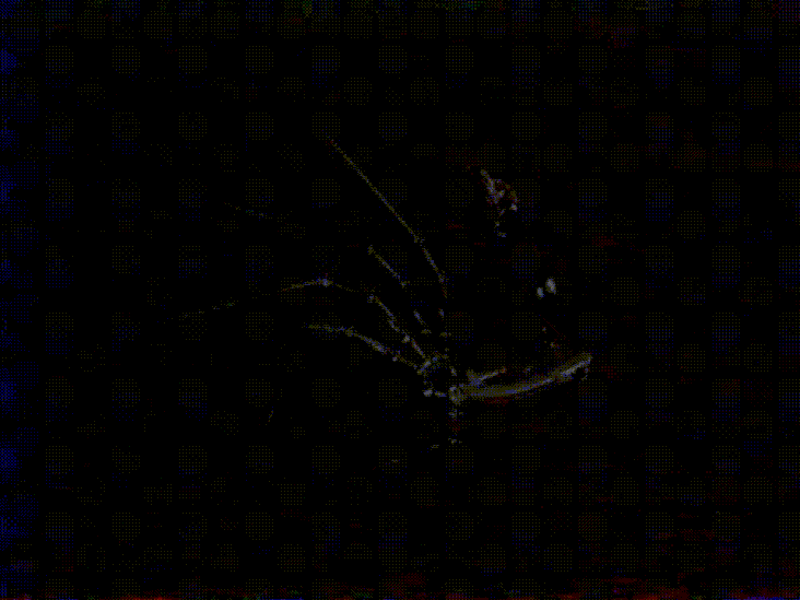 Prototype
