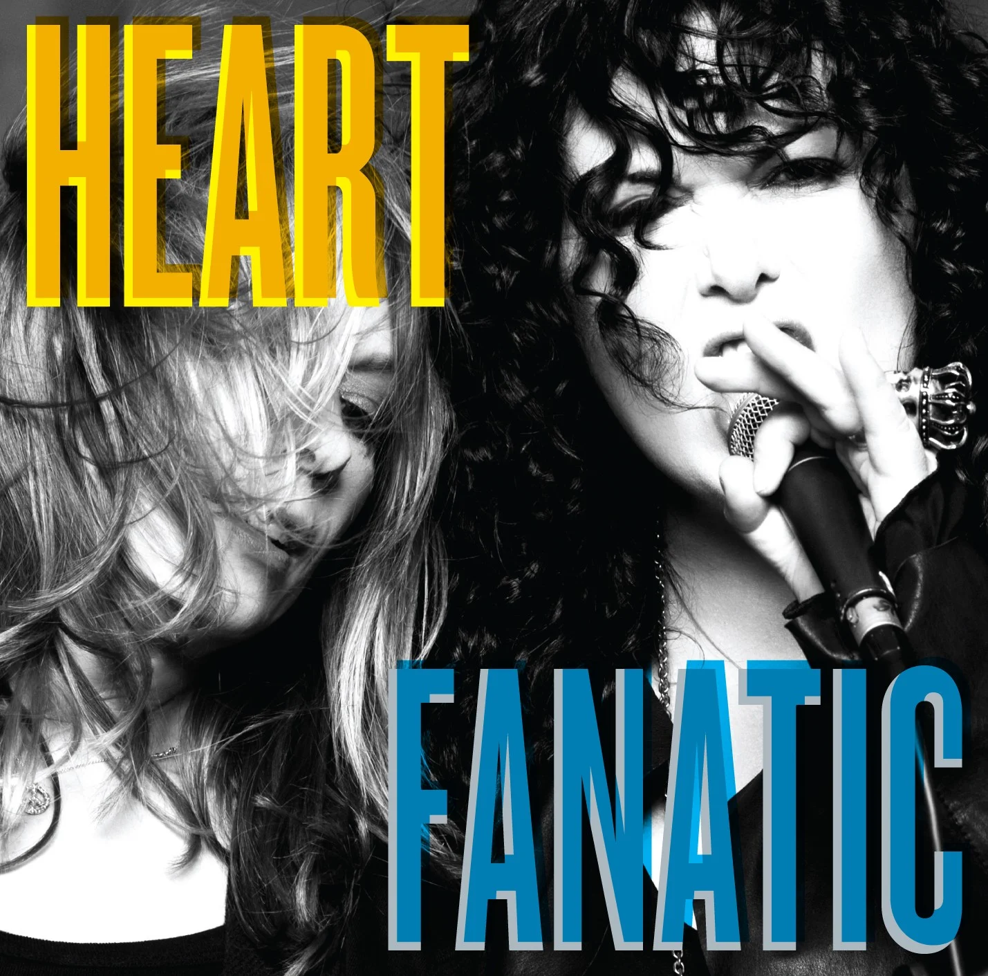 Ann Wilson (Fanatic Era)