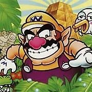 Wario (Wario Land 4)