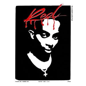 Playboi Carti (WHOLE LOTTA RED ALBUM)