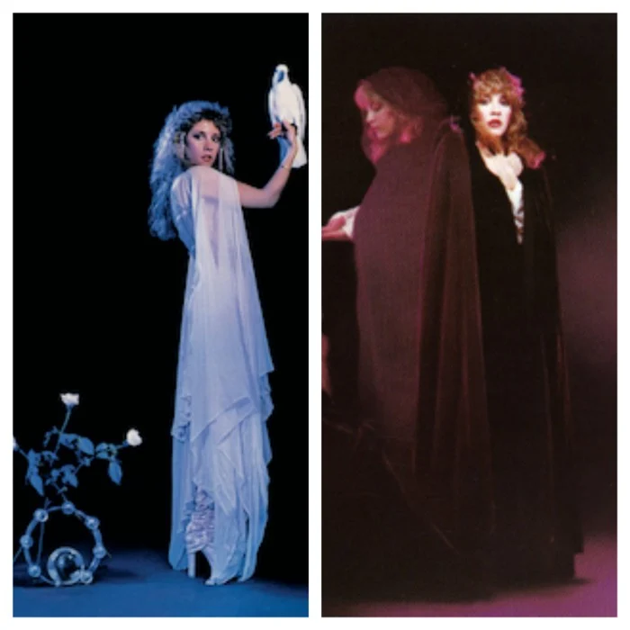 Stevie Nicks (Bella Donna + The Wild Heart Eras)