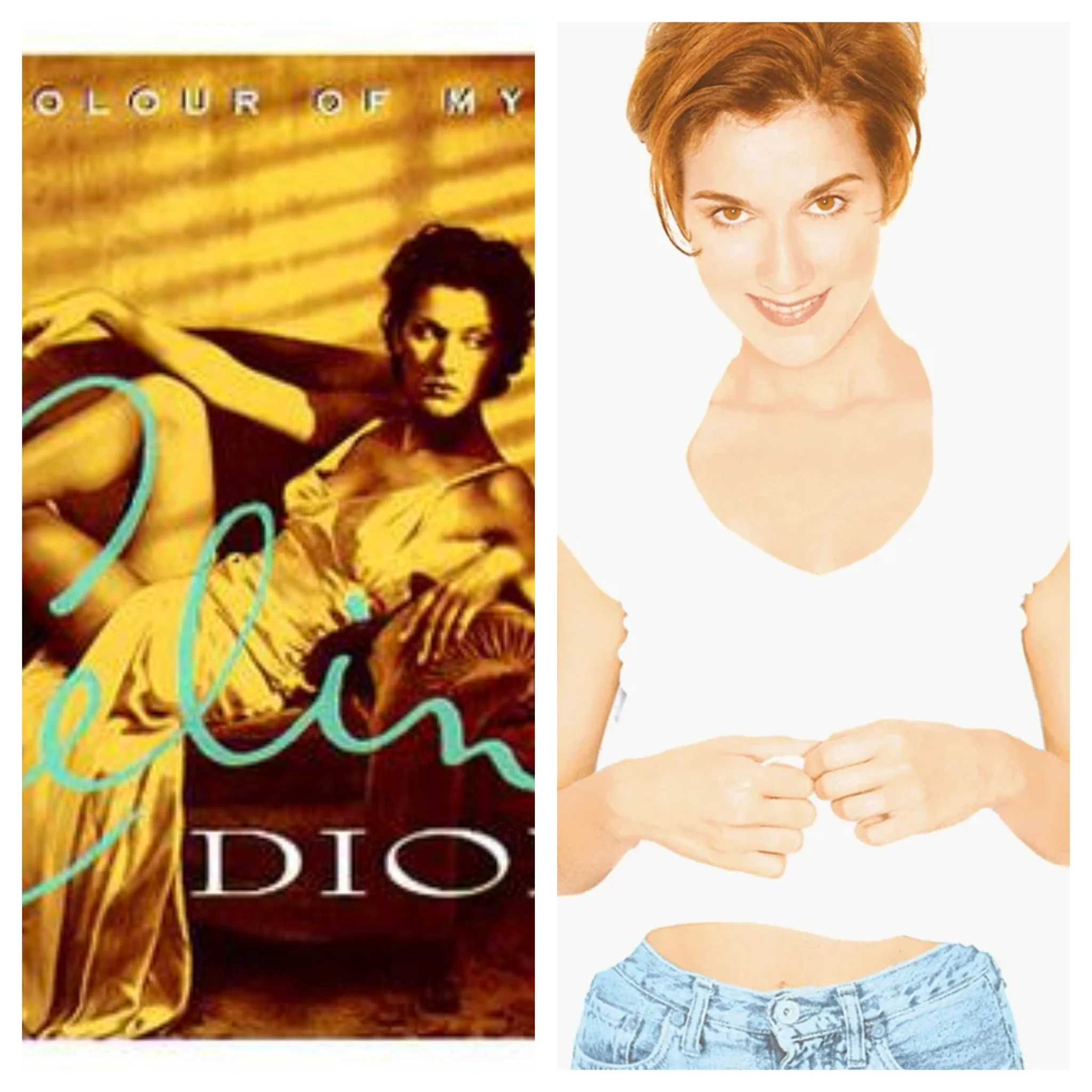 Celine Dion (The Colour Of My Love + Falling Into You Eras)