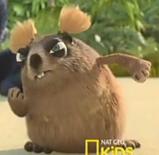 Lola Marmota PT BR