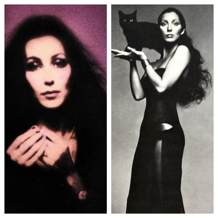 Cher (Halfbreed + Dark Lady Eras)