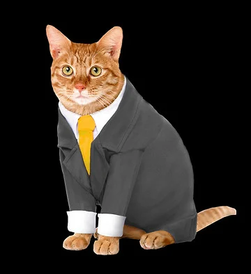 PWGood ContentVec