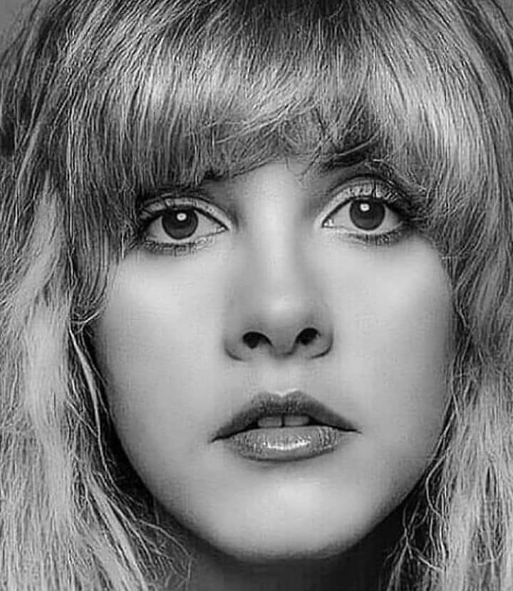 Stevie Nicks (Landslide Single)