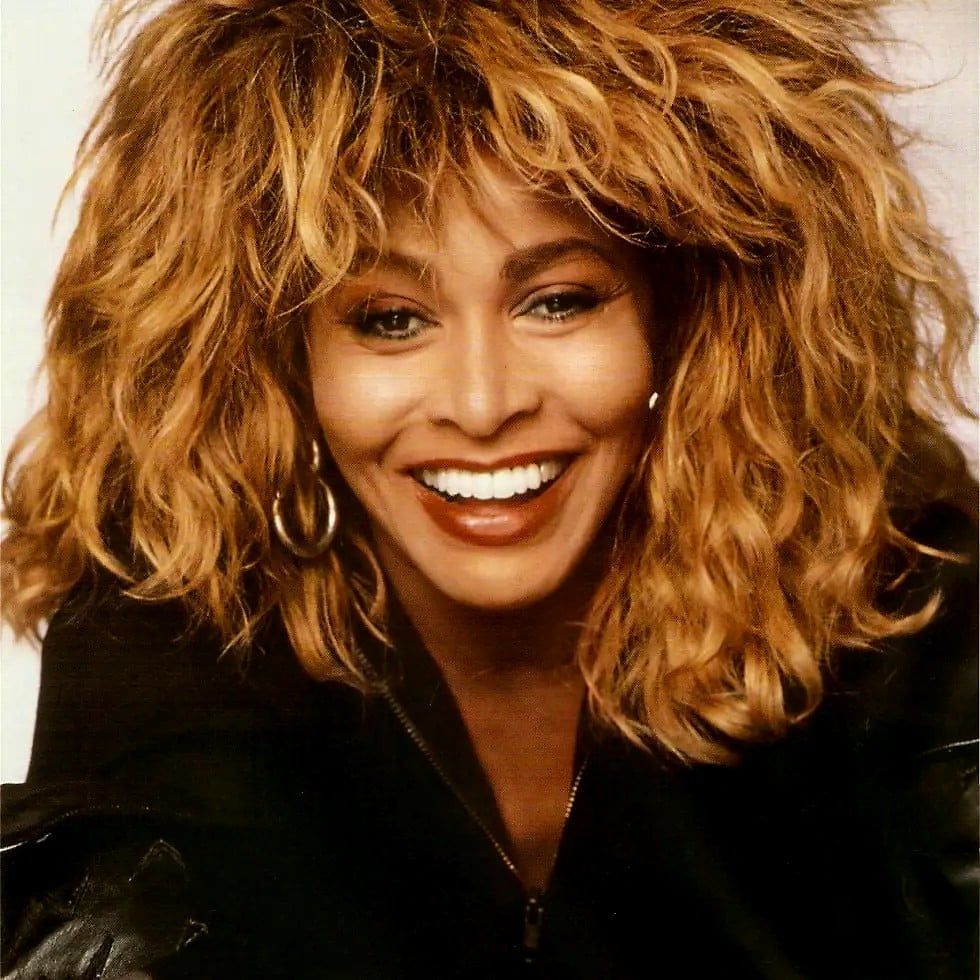 Tina Turner (The Best Single)