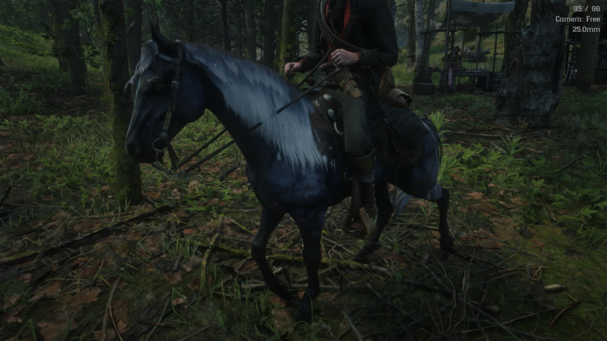 red dead redemption