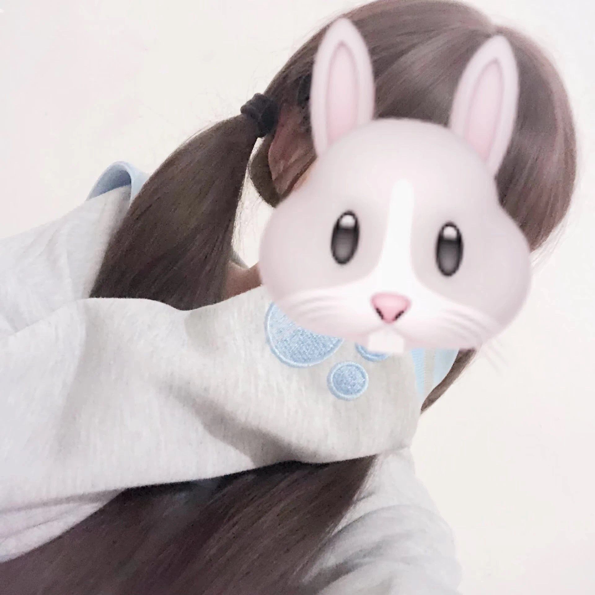 🐰