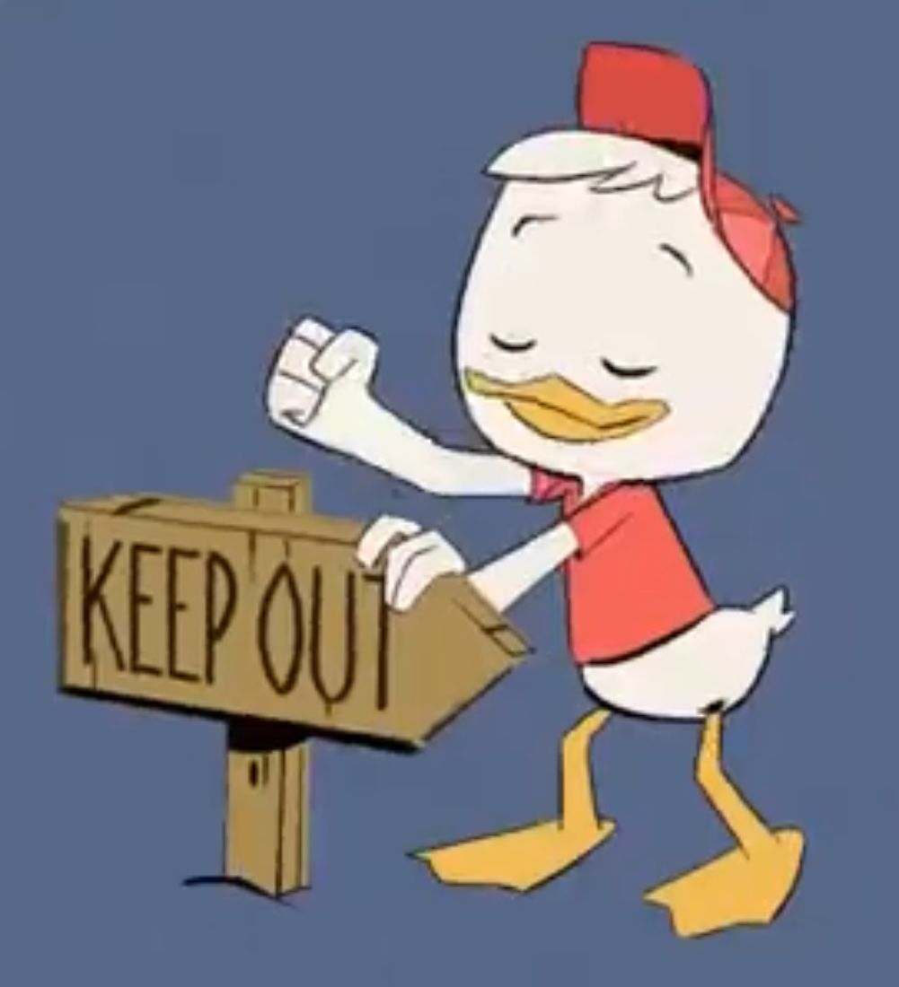Ducks 