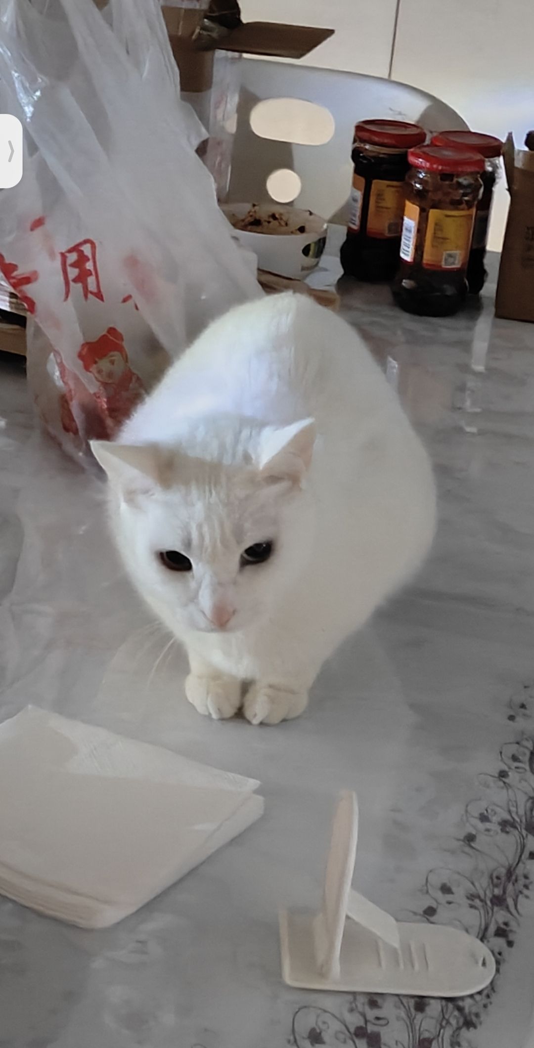 搞同人！