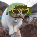 l3afai