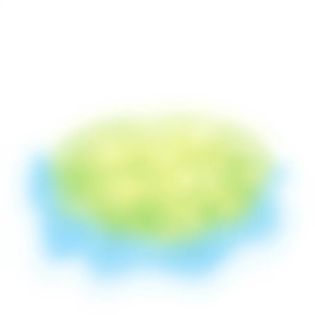 LoRA Image