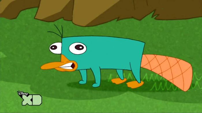 Perry The Platypus (Phineas and Ferb)