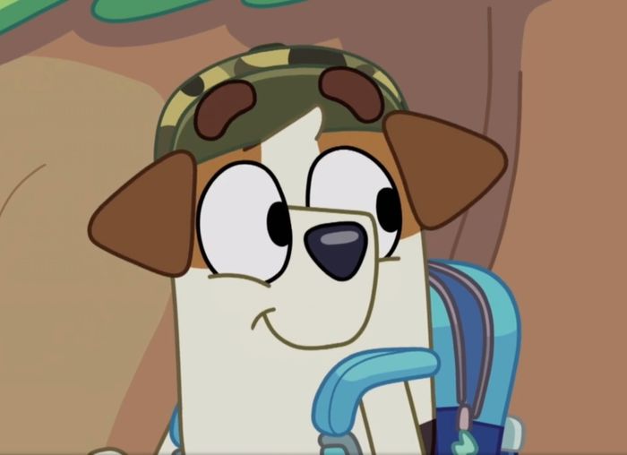 Jack Russell - (Bluey)