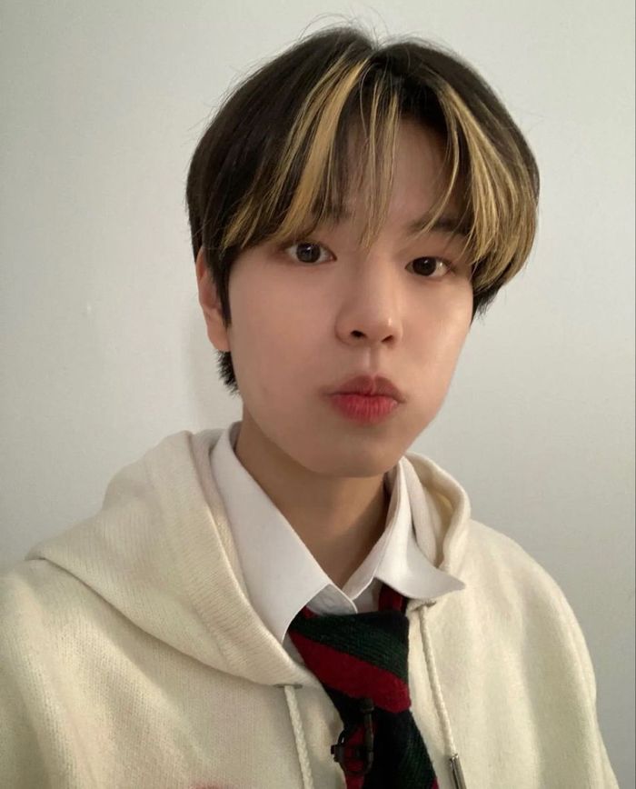 Seungmin (From Stray Kids)