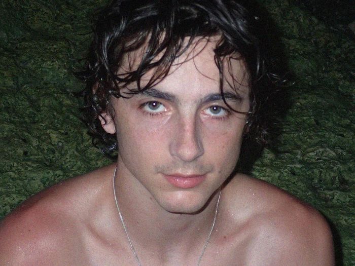 Timothee Chalamet