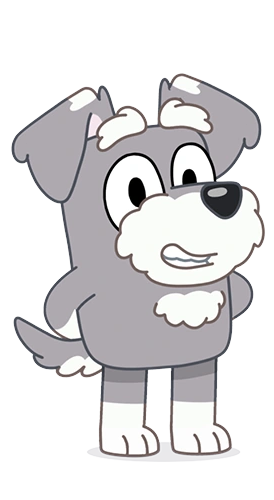 Grey Terrier(Bluey)