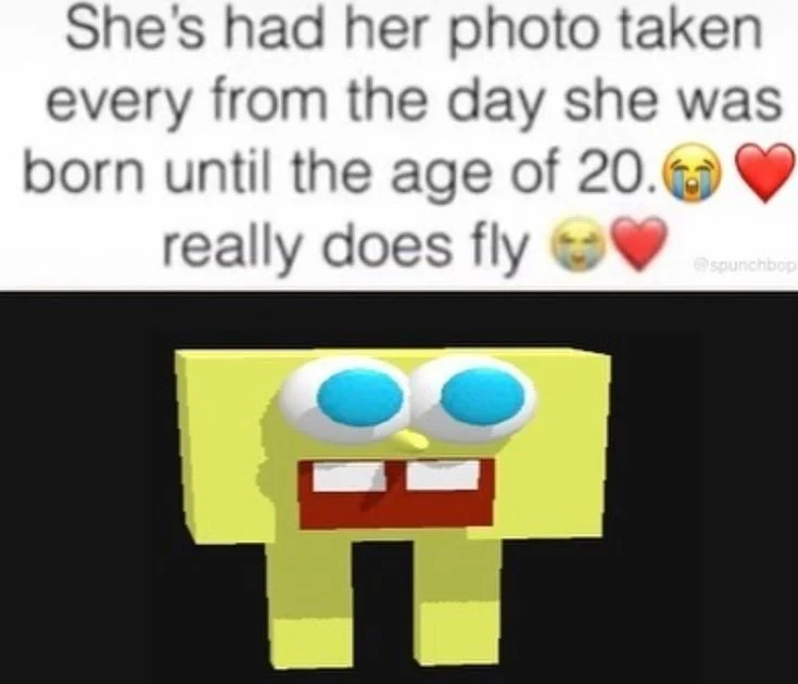 Literally the whole Spongebob Movie as a model