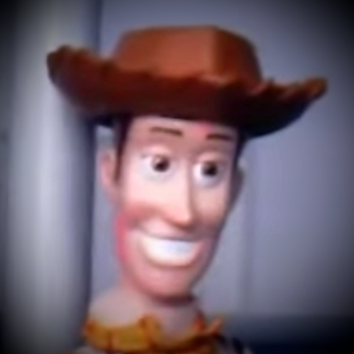 Woody (Toy Story 3 Leak Meme)