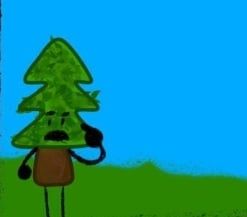 Tree (CAMP EVERGREEN) test