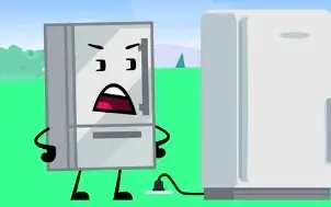 Fridge PPT2