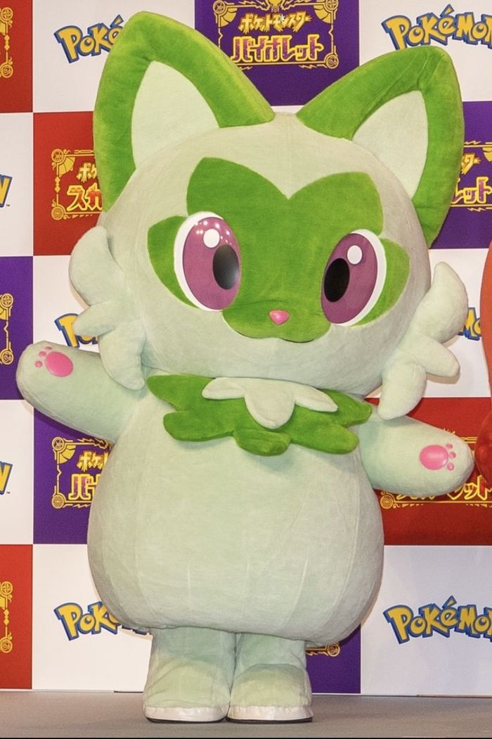 Sprigatito