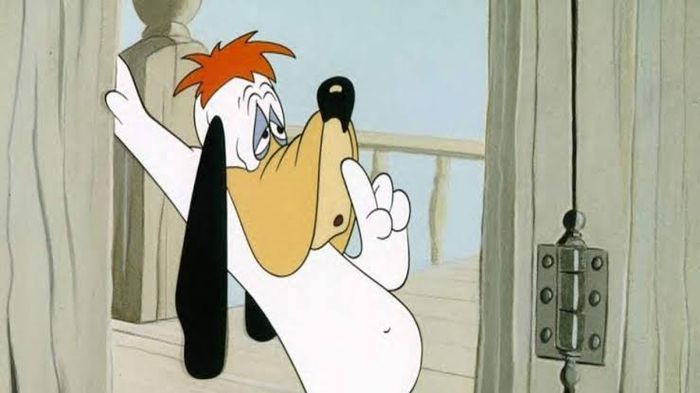 Droopy Dog Brasil