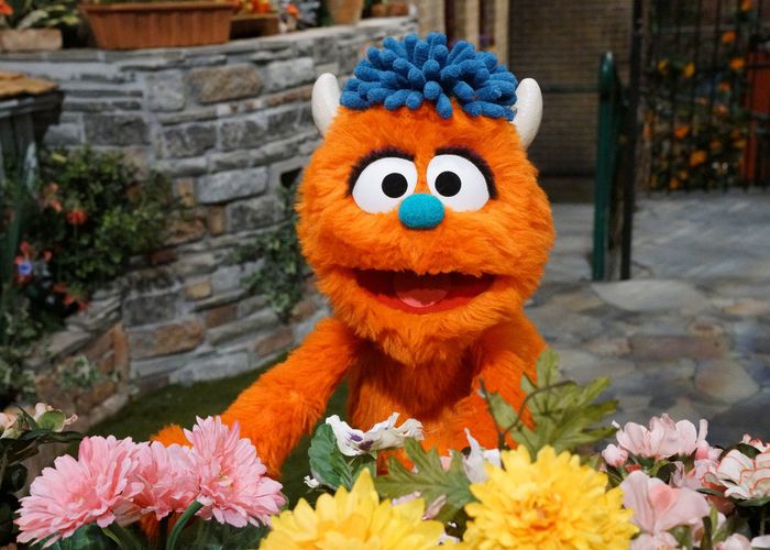 Rudy (Sesame Street)