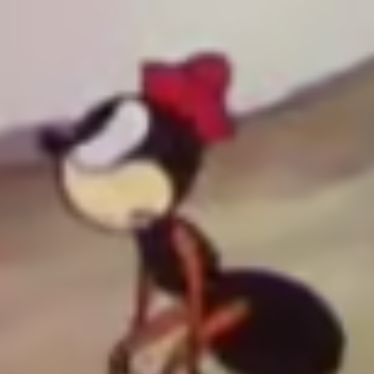 lil ant (The Grasshopper and the Ants/Silly Symphony 1934)