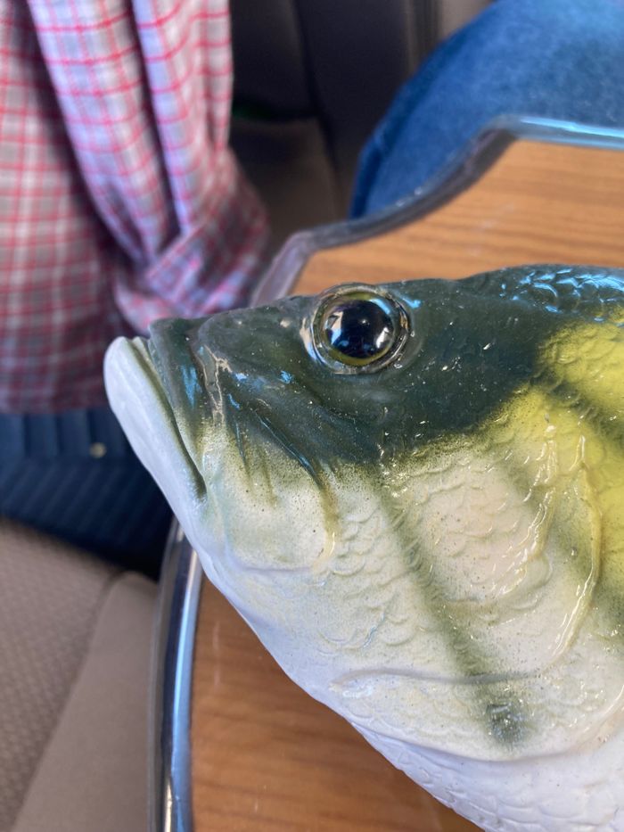 Big Mouth Billy Bass (Christmas Country)