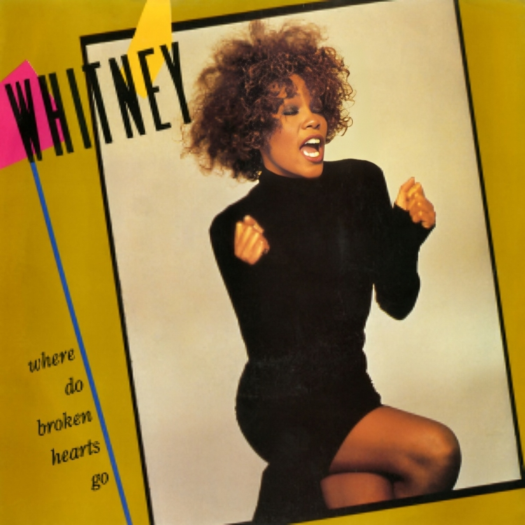 Whitney Houston (Where Do Broken Hearts Go  Single)