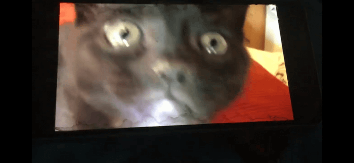 Izzy (Talking Kitty cat)