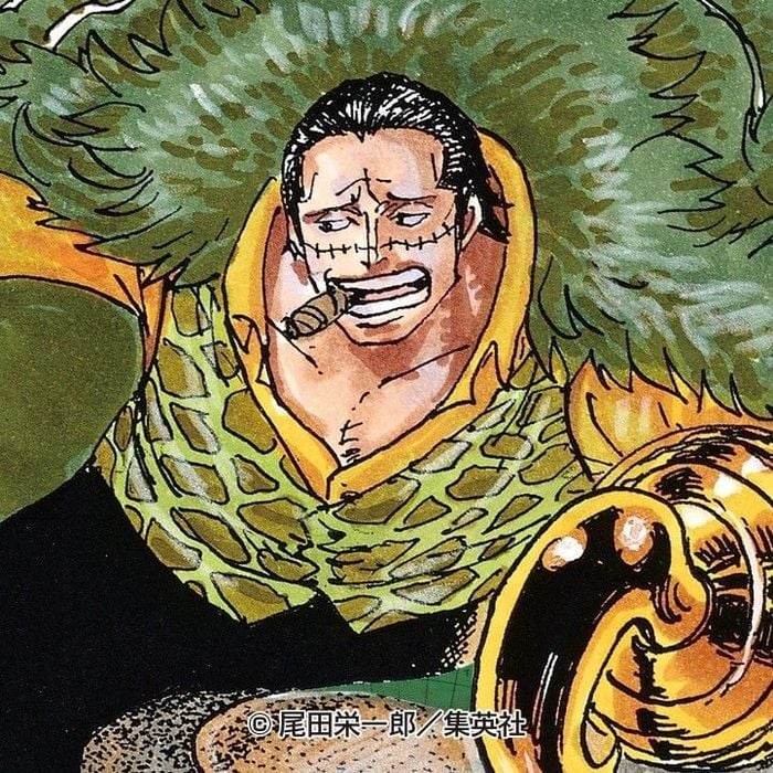 Crocodile one piece 