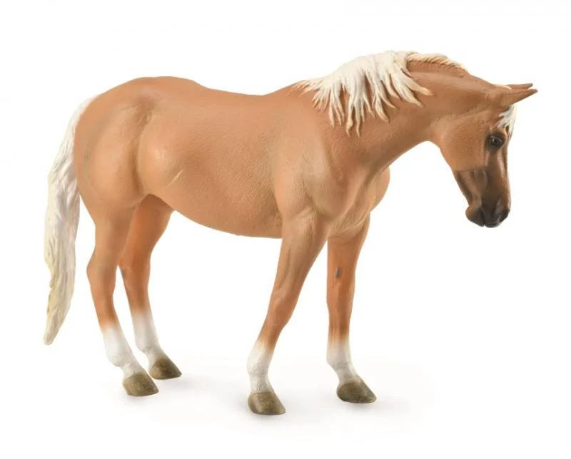 Missy the Mare Quarter Rus