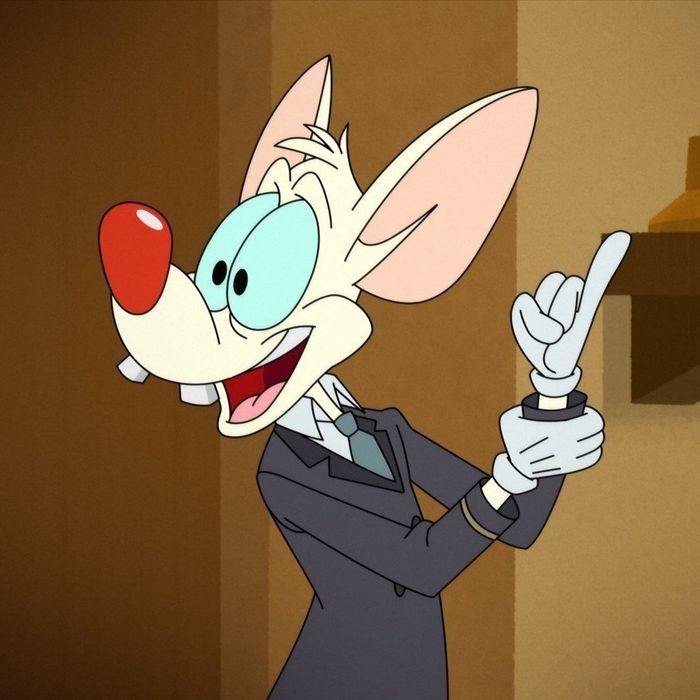 Pinky - Frank Carreño [Animaniacs 2020] (Español latino / Latin Americ / Spanish dub)