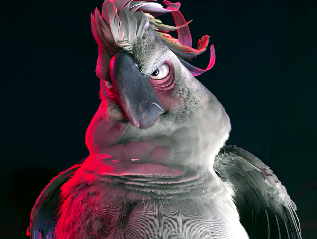 Nigel (Jemaine Clement) (Rio) (2011)
