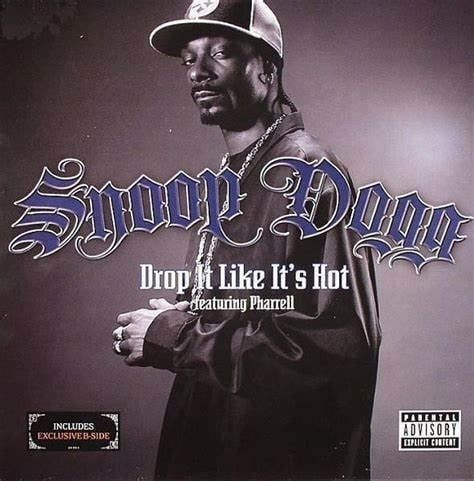snoop dogg (drop it like it hot)