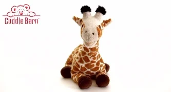 Twiggy the Giraffe (Zoocational)
