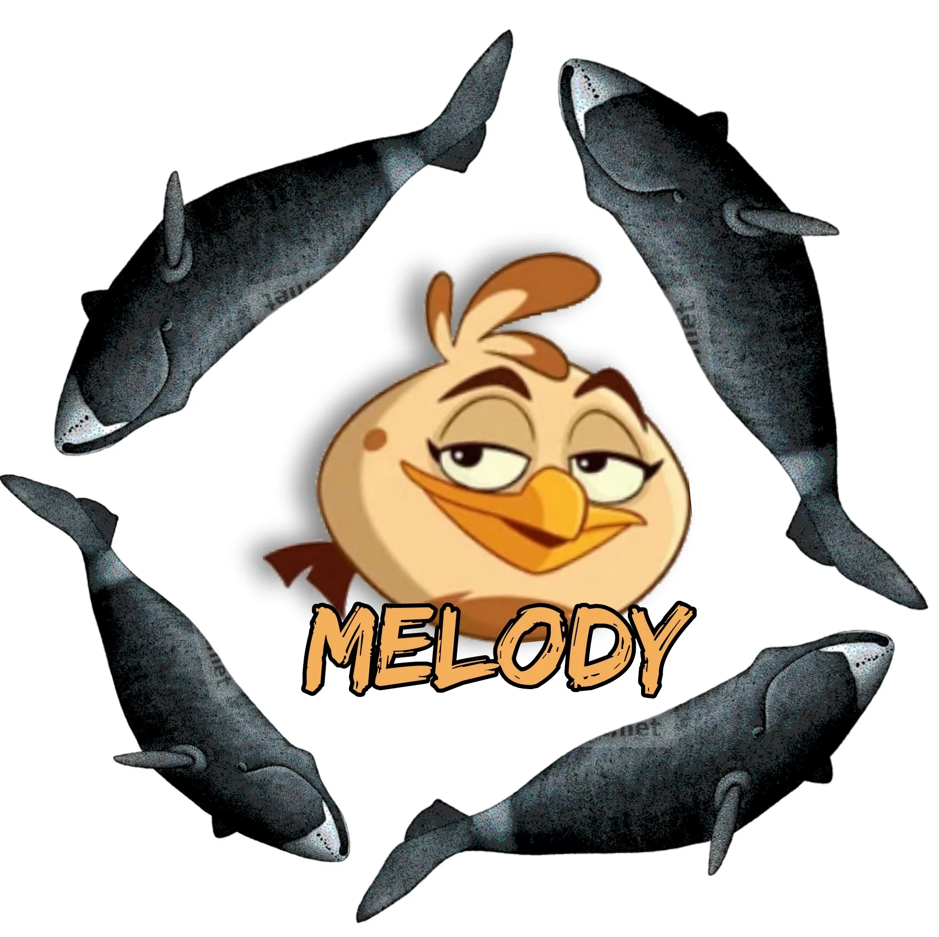Melody (Angry birds)